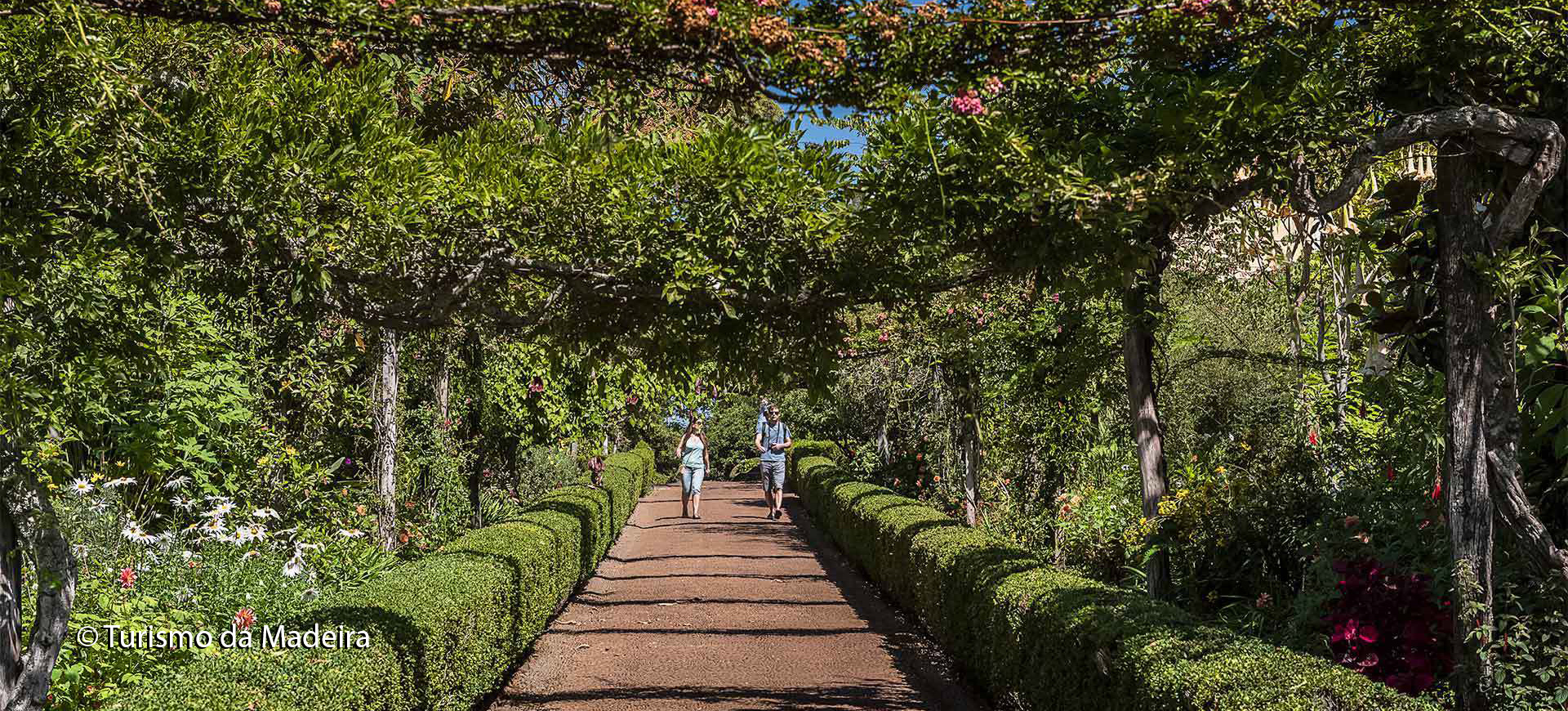 Jardim da Quinta do Palheiro 